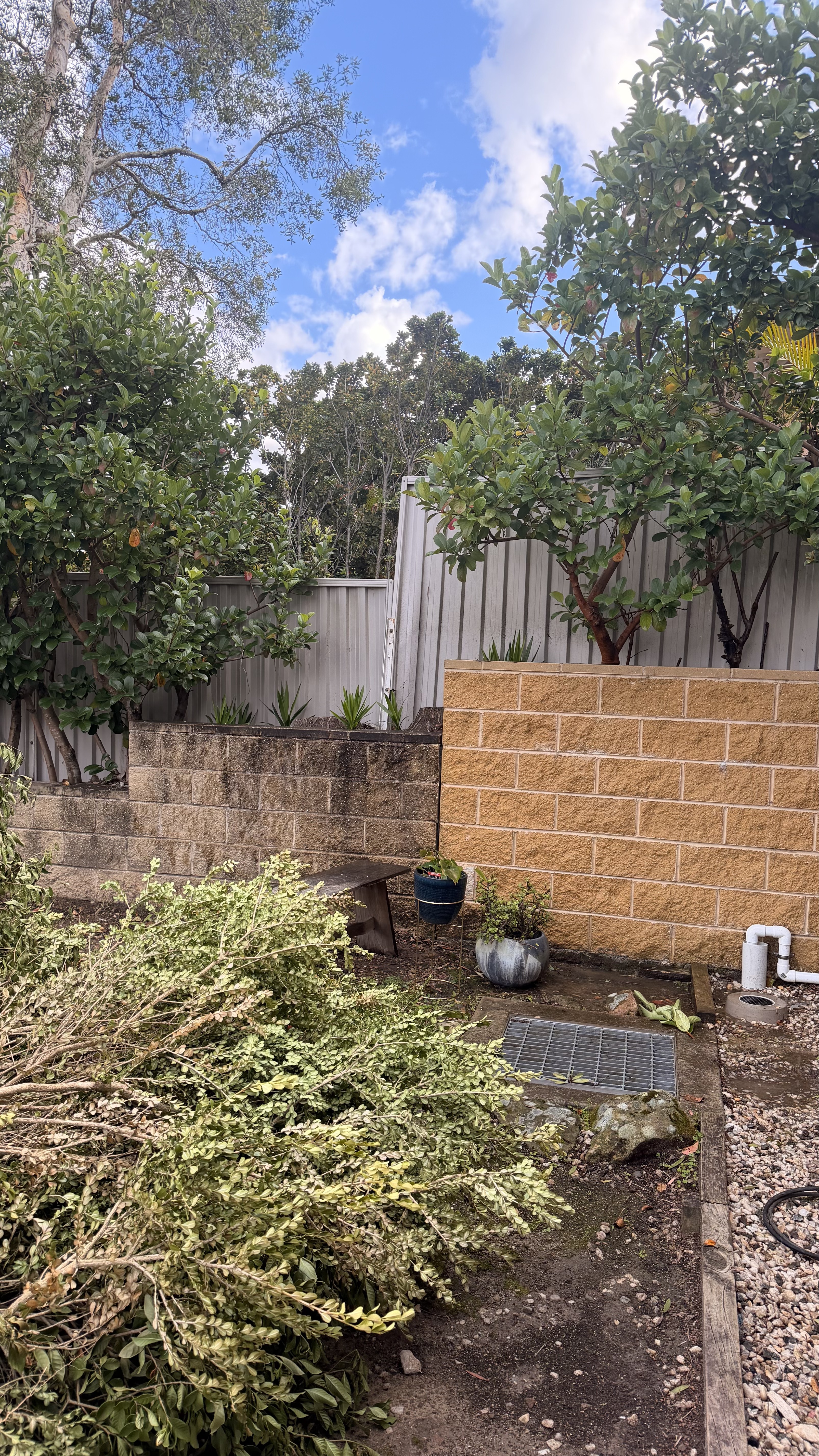 Retaining wall half pressure washed showing dramatic before and after difference
