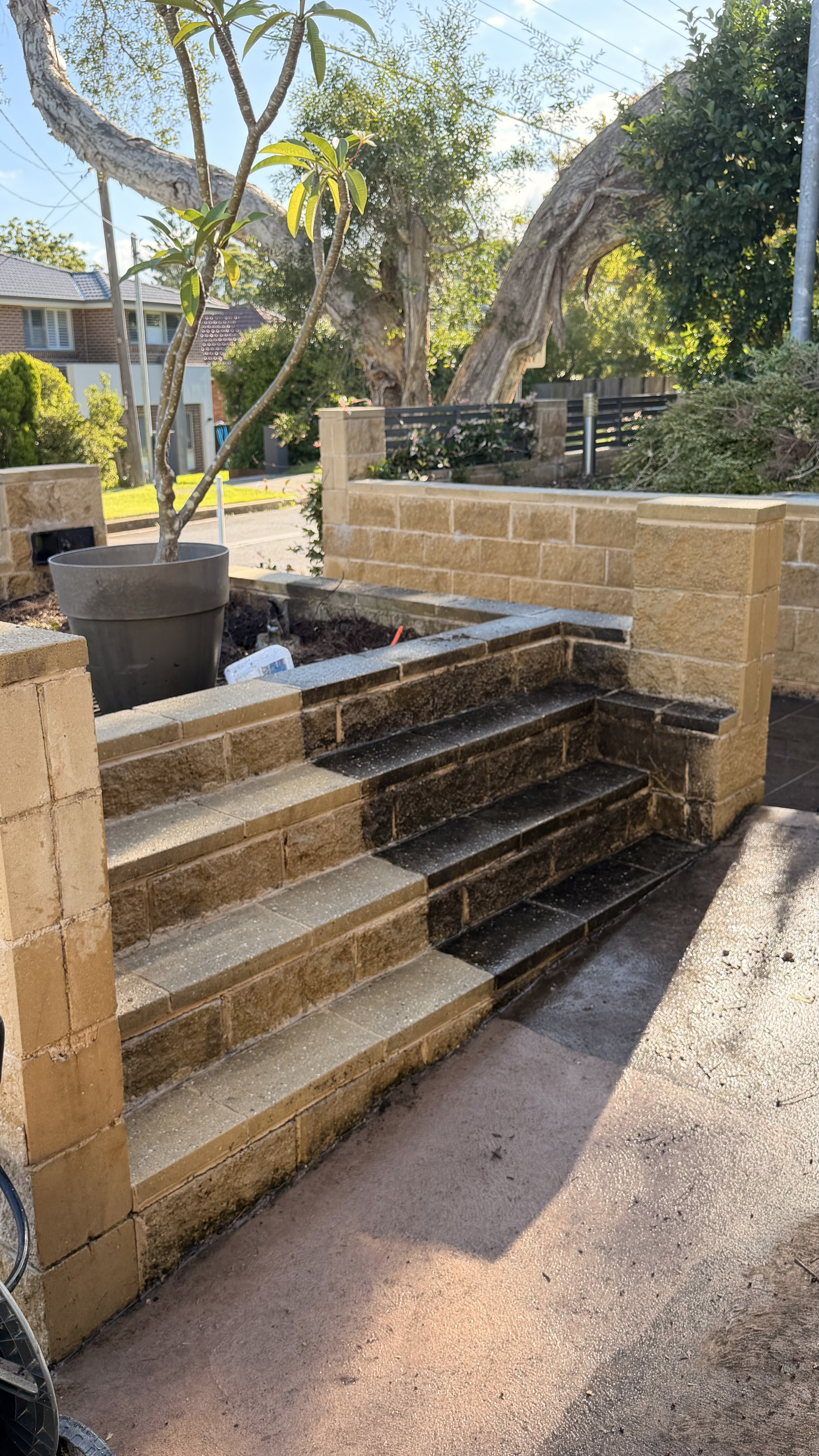 Retaining wall and sandstone steps after pressure washing in Belrose