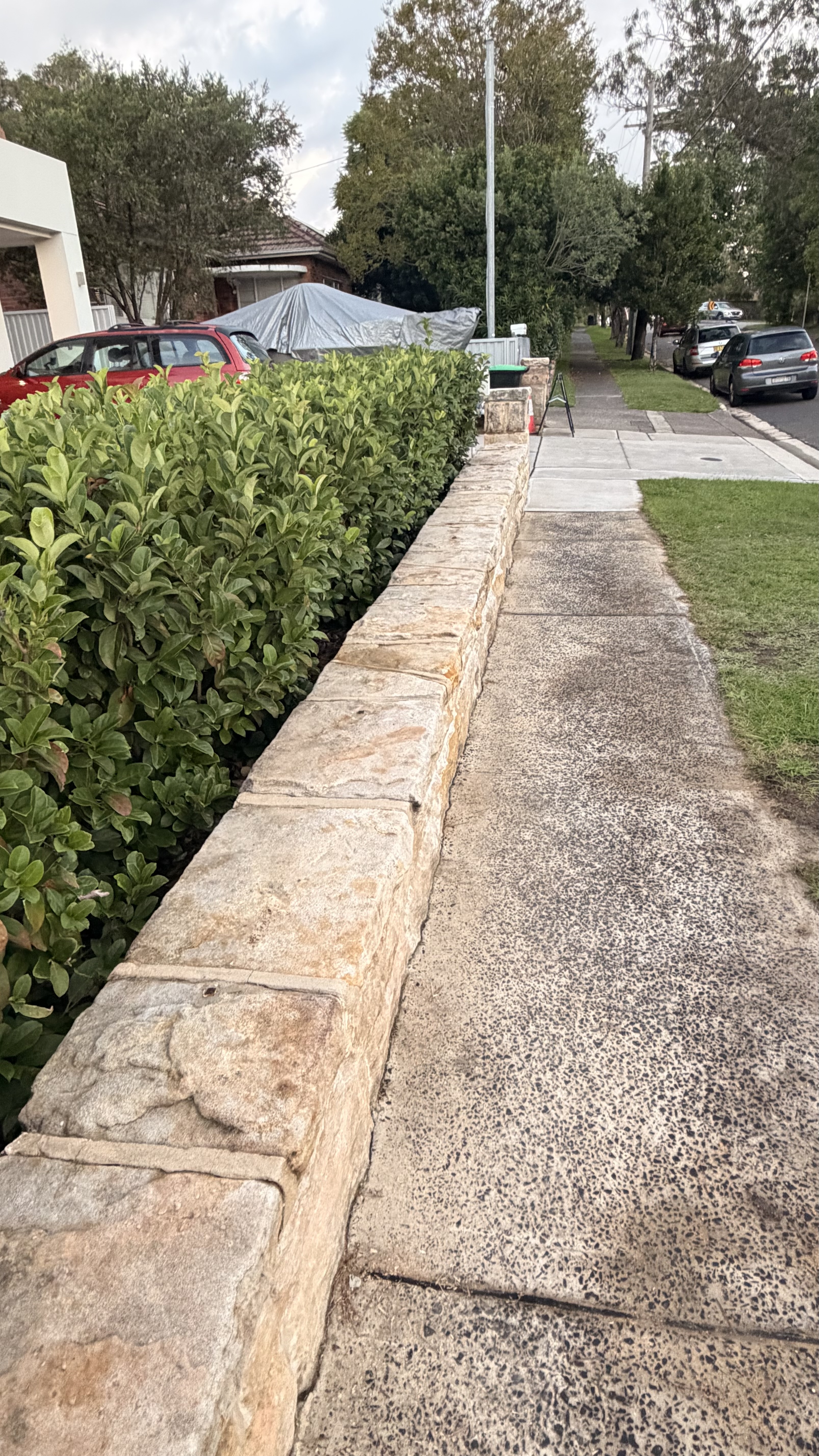 Backyard pressure washing in progress Northern Beaches