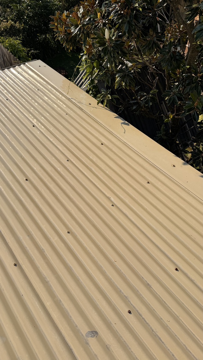 Corrugated metal roof clean after soft wash Forestville