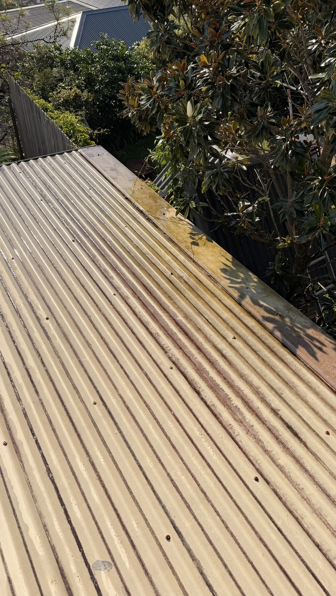Corrugated metal roof with mould and staining before cleaning Forestville