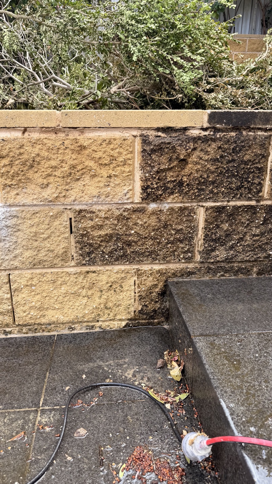 Sandstone wall half cleaned dramatic before after difference