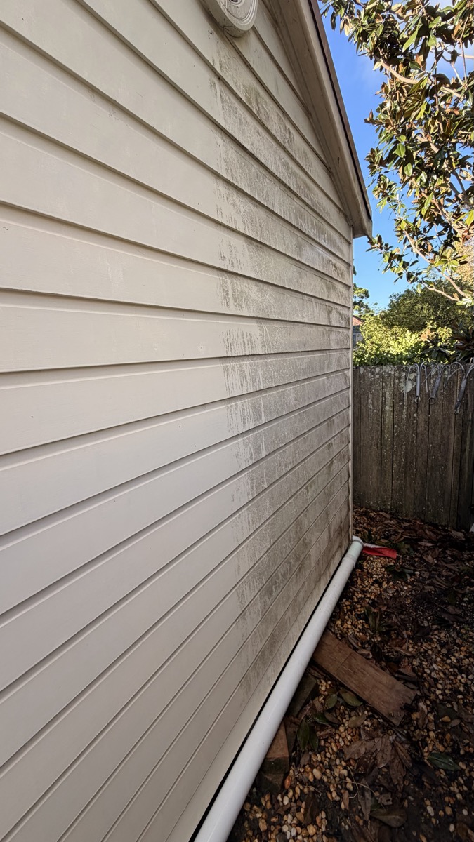 Weatherboard cladding with mould stains before soft washing